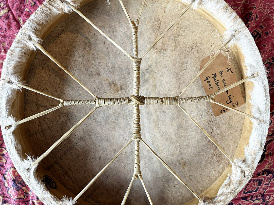 18" Goat Shamanic Drum 4 Directions Lace