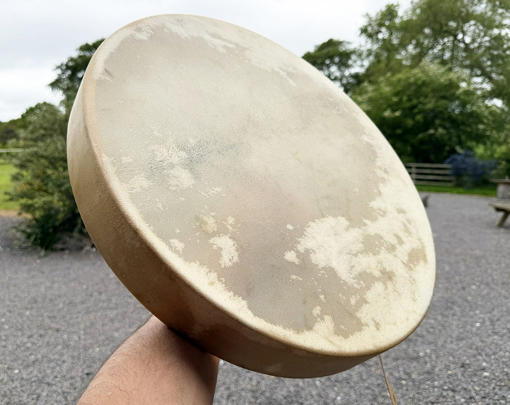 18" Buffalo Shamanic Drum Falcon Lace