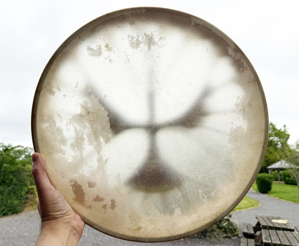 18" Buffalo Shamanic Drum Falcon Lace