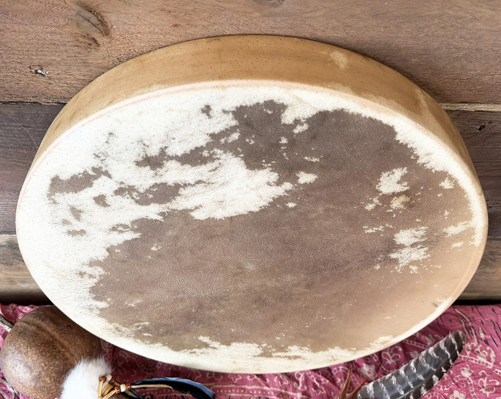 18" Buffalo Shamanic Drum Falcon Lace
