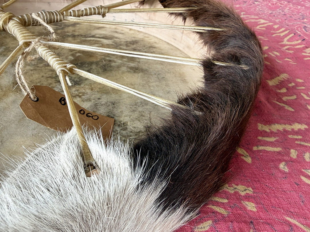 18" Cow Shamanic Drum 4 Directions
