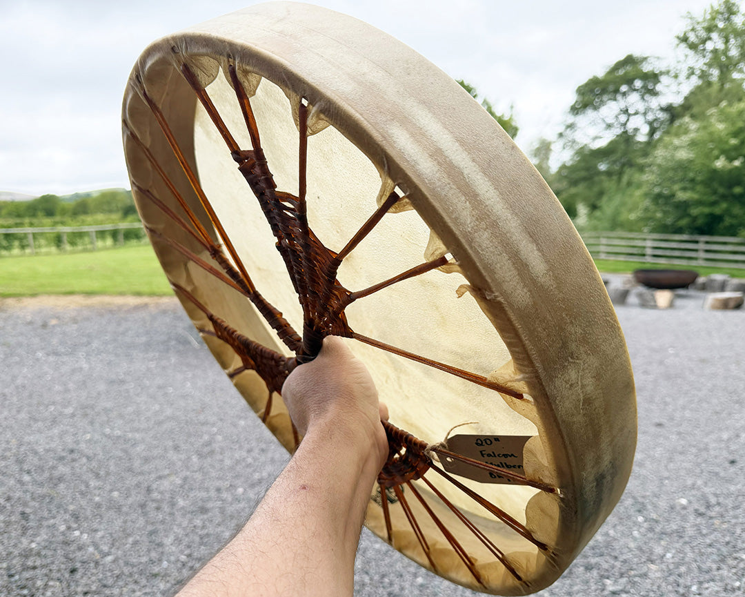 20" Buffalo Shamanic Drum Falcon Lace