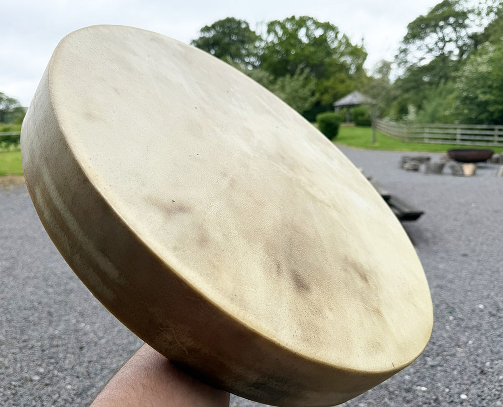 20" Buffalo Shamanic Drum Falcon Lace