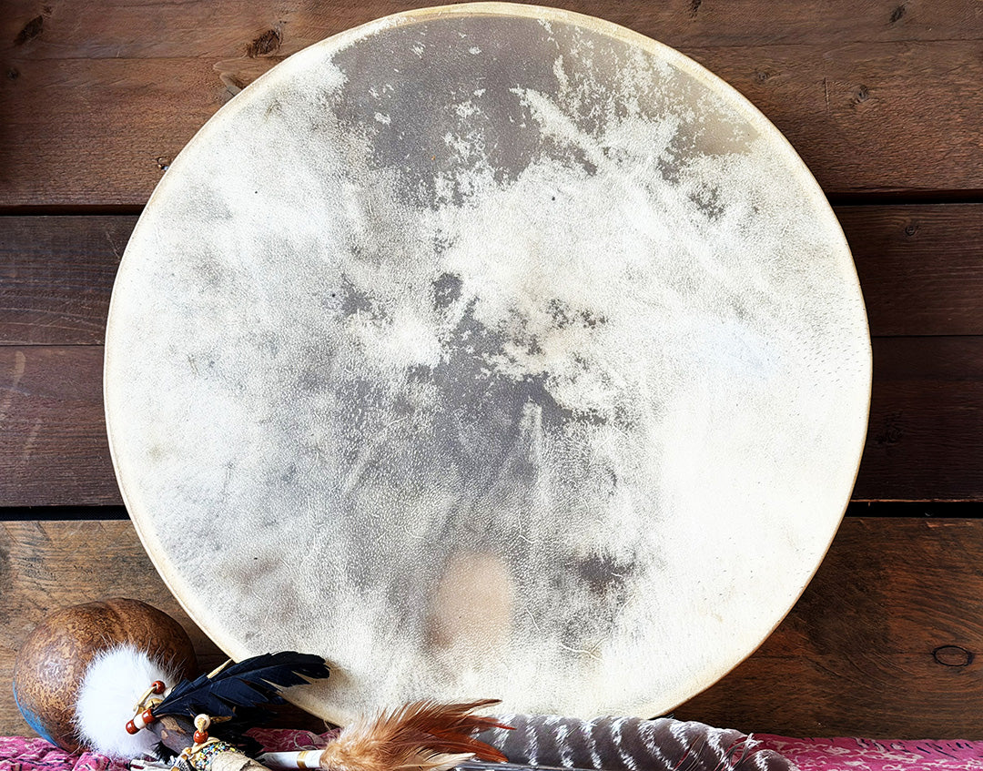 20" Buffalo Shamanic Drum Falcon Lace