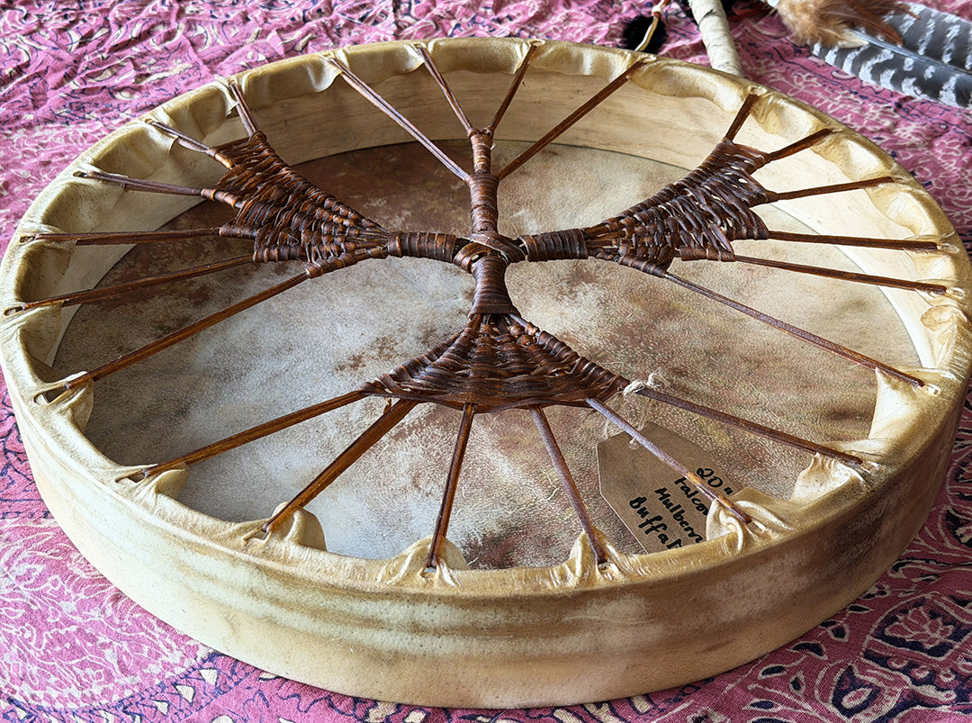 20" Buffalo Shamanic Drum Falcon Lace
