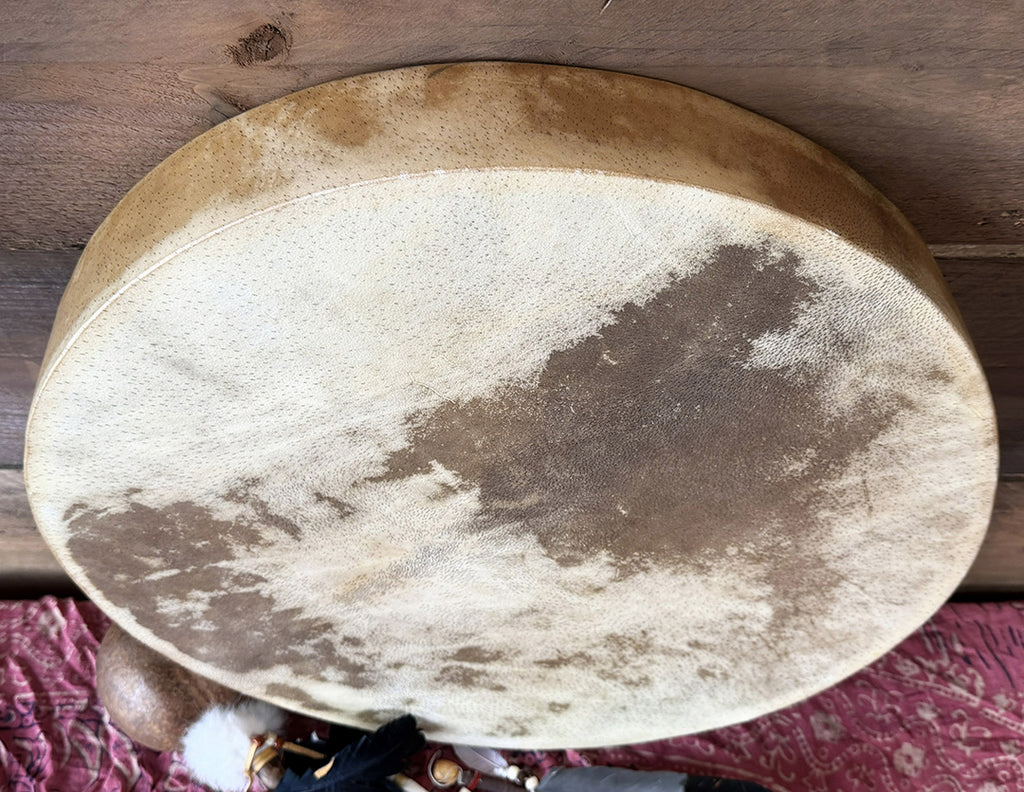 20" Buffalo Shamanic Drum Tree Of Life Lace