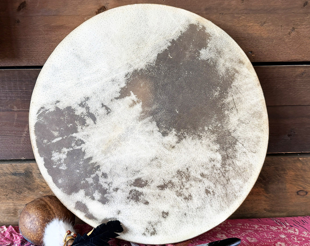 20" Buffalo Shamanic Drum Tree Of Life Lace