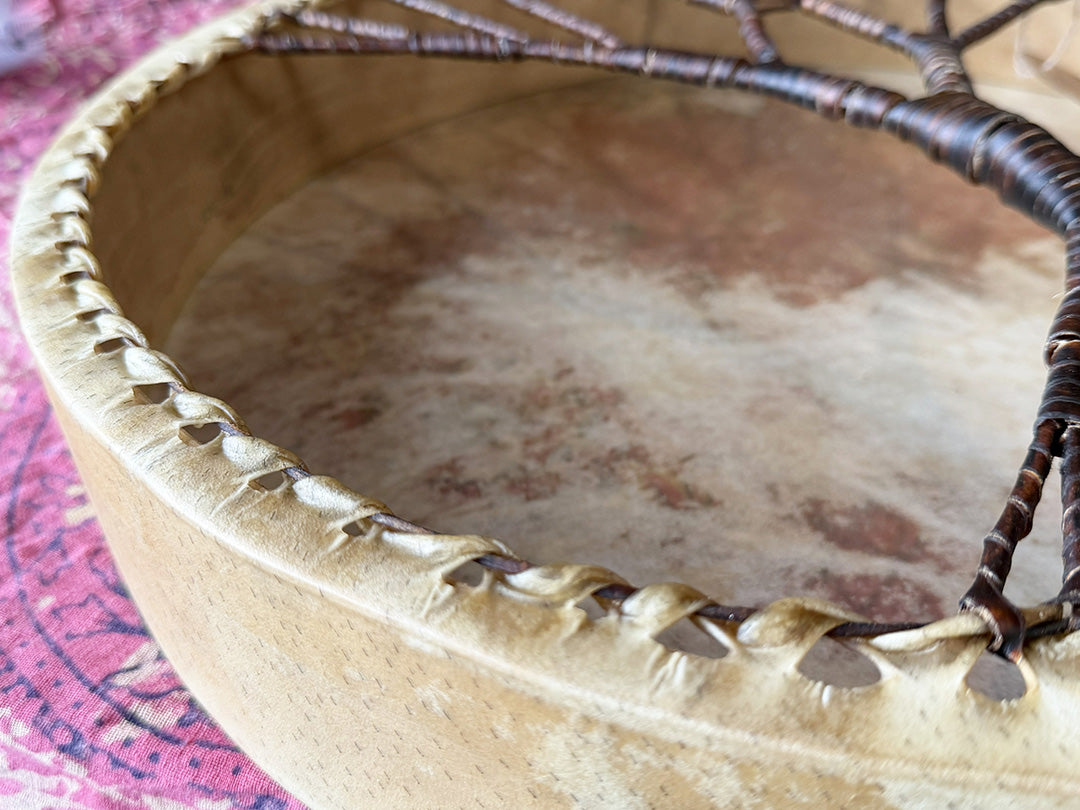 20" Buffalo Shamanic Drum Tree Of Life Lace