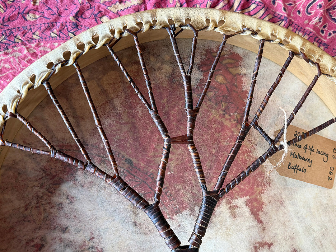 20" Buffalo Shamanic Drum Tree Of Life Lace
