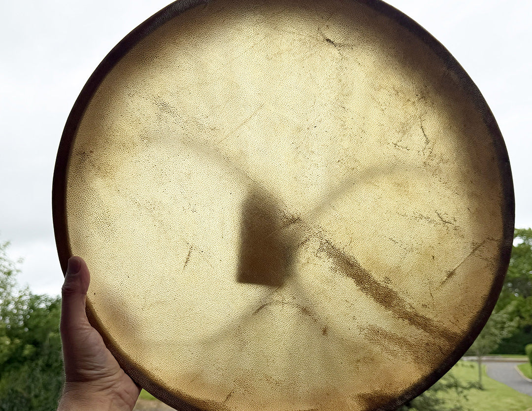 20" Camel Shamanic Drum Tree Of Life Lace