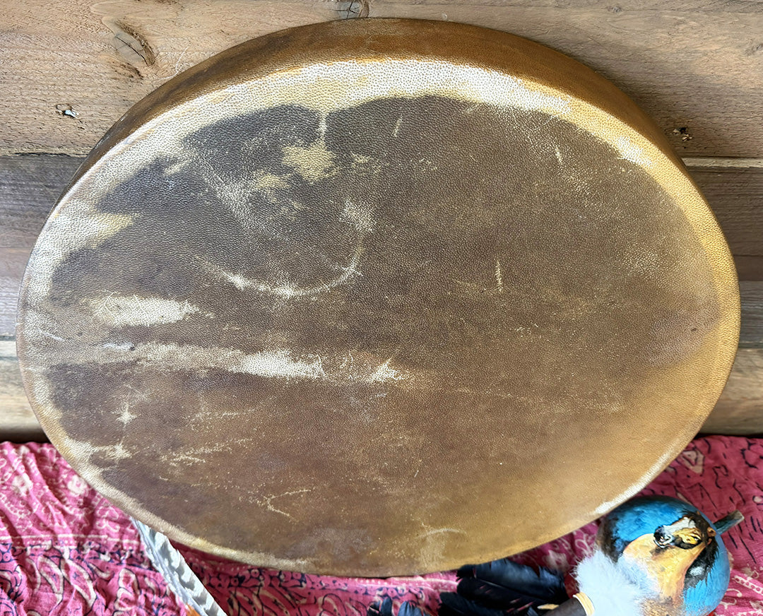 20" Camel Shamanic Drum Tree Of Life Lace