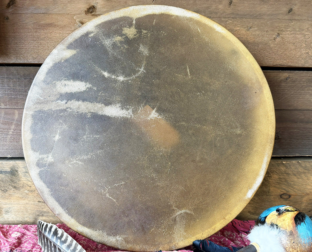 20" Camel Shamanic Drum Tree Of Life Lace