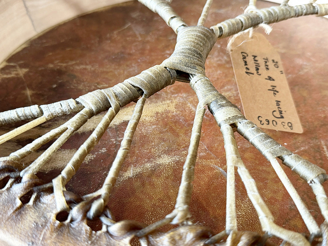 20" Camel Shamanic Drum Tree Of Life Lace