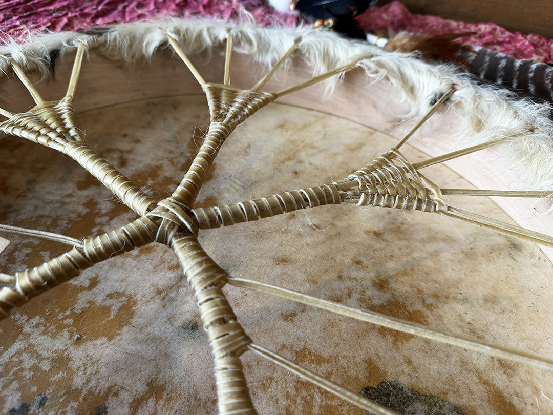 22" Cow Shamanic Drum Ankh Lacing