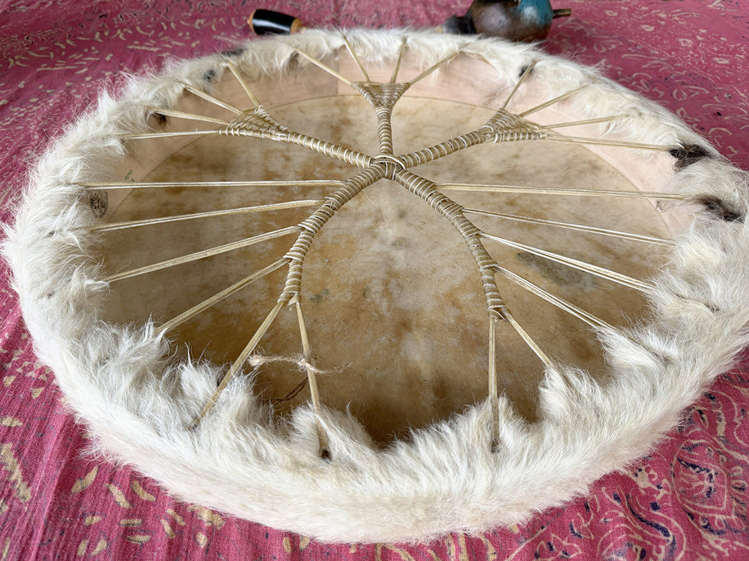 22" Cow Shamanic Drum Ankh Lacing