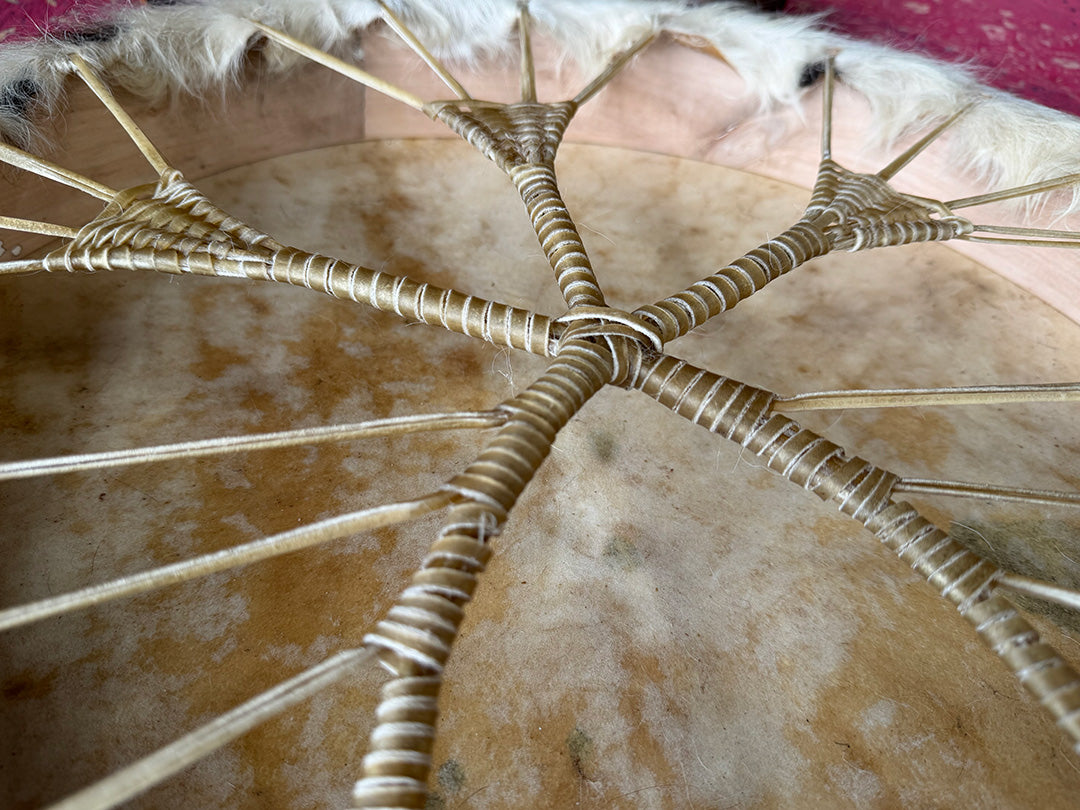 22" Cow Shamanic Drum Ankh Lacing