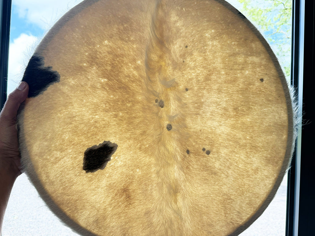 22" Cow Shamanic Drum Ankh Lacing
