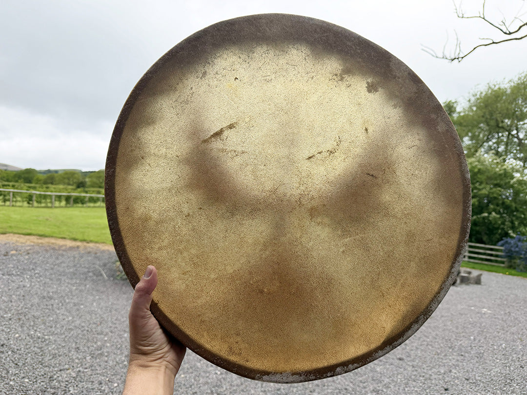 22" Camel Shamanic Drum Falcon Lace