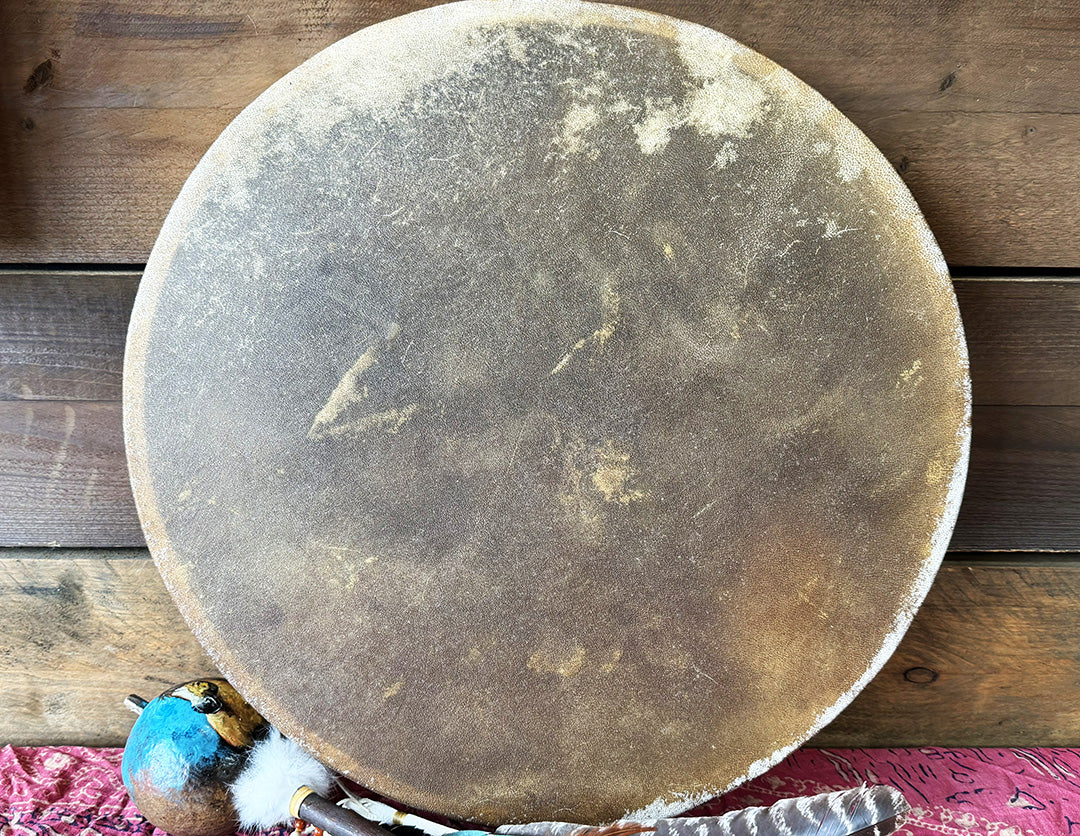 22" Camel Shamanic Drum Falcon Lace