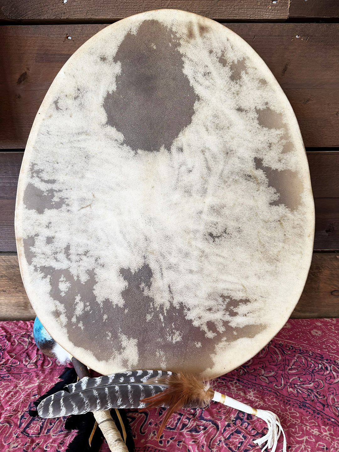 24" Oval Buffalo Shamanic Drum Falcon Lacing