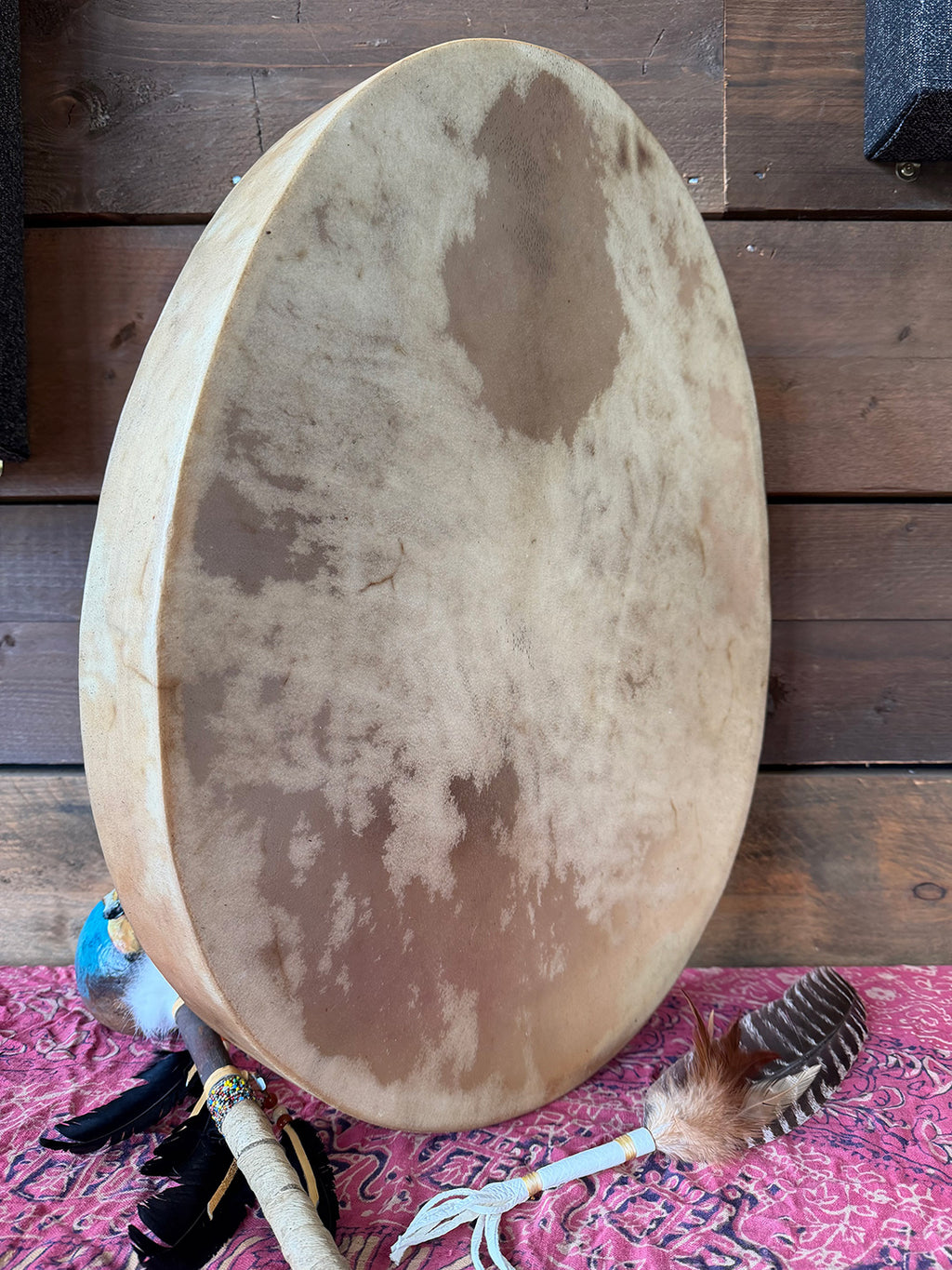 24" Oval Buffalo Shamanic Drum Falcon Lacing