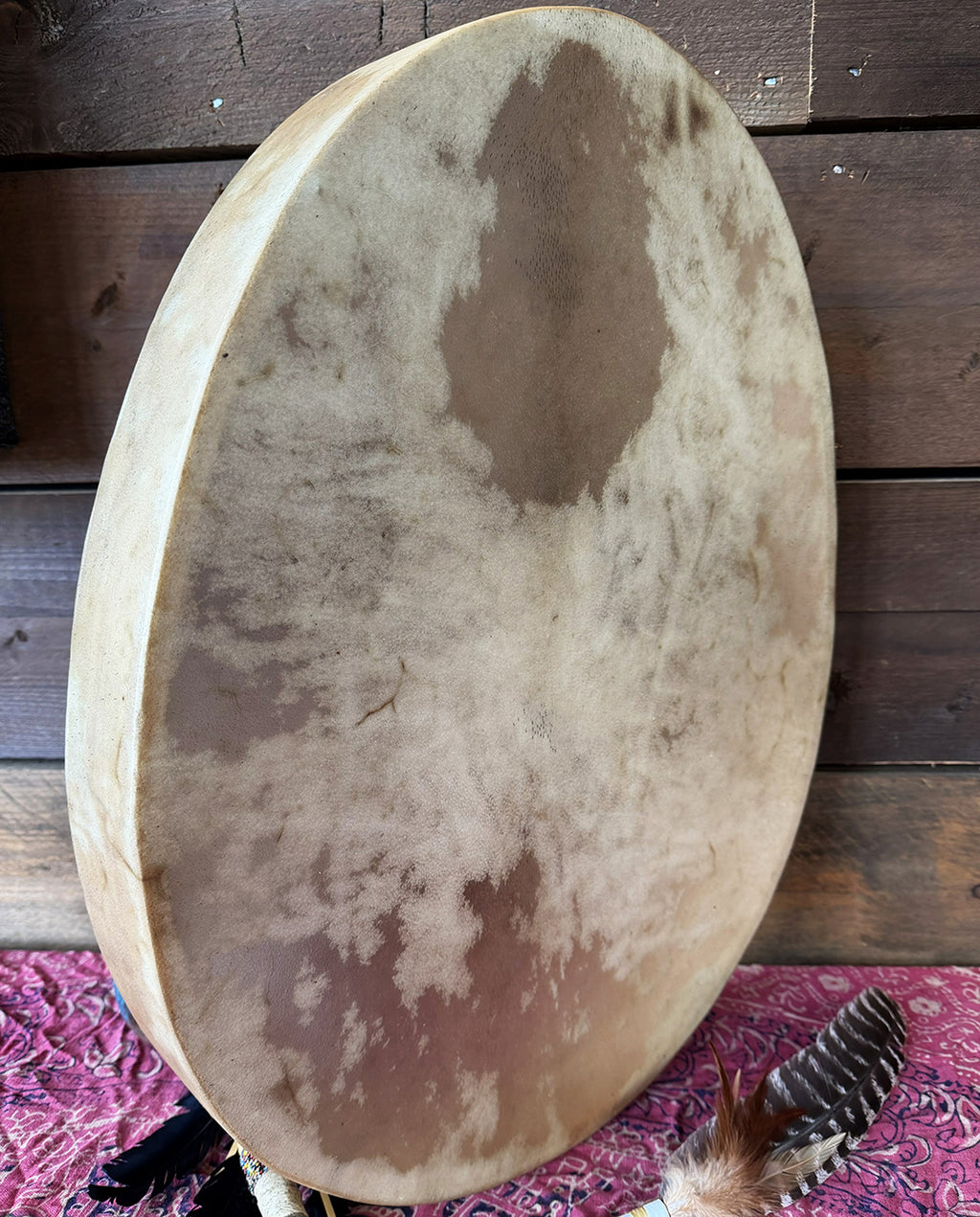 24" Oval Buffalo Shamanic Drum Falcon Lacing