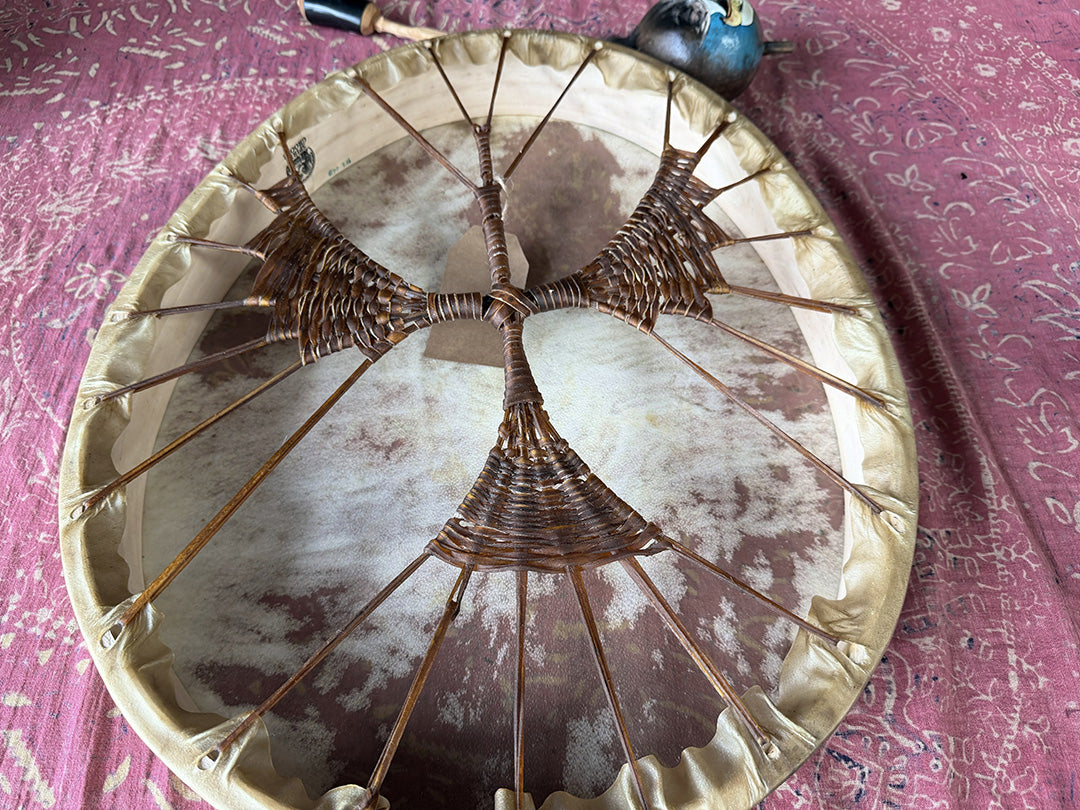 24" Oval Buffalo Shamanic Drum Falcon Lacing
