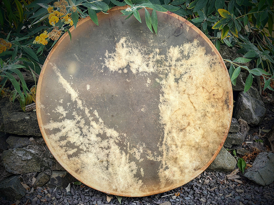 30" Round Tree Of Life - Flagship Ceremonial Drum - includes Tailored Padded / Insulated Carry Case 