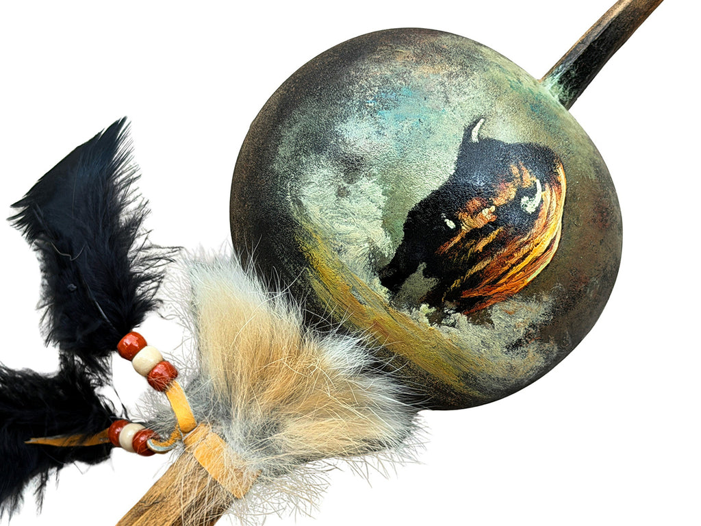 Mexican Hand Painted BISON Shamanic Gourde Rattle