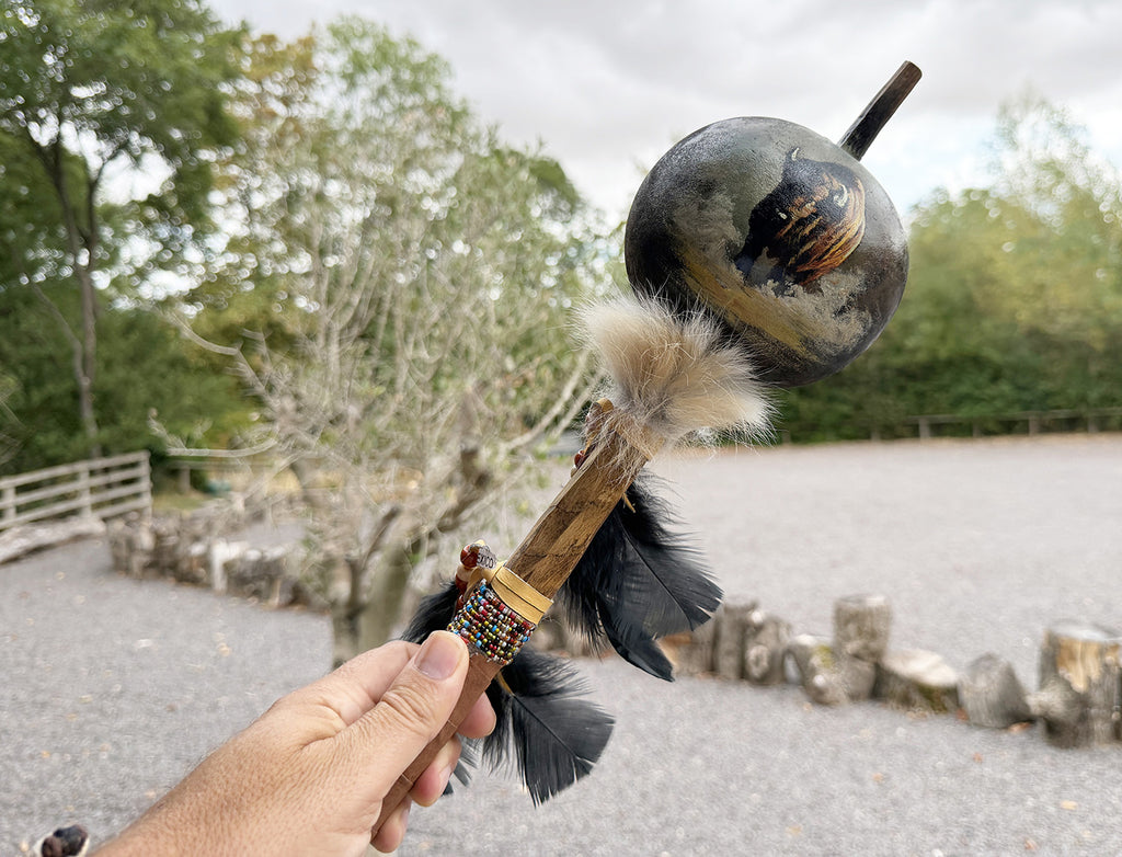 Mexican Hand Painted BISON Shamanic Gourde Rattle