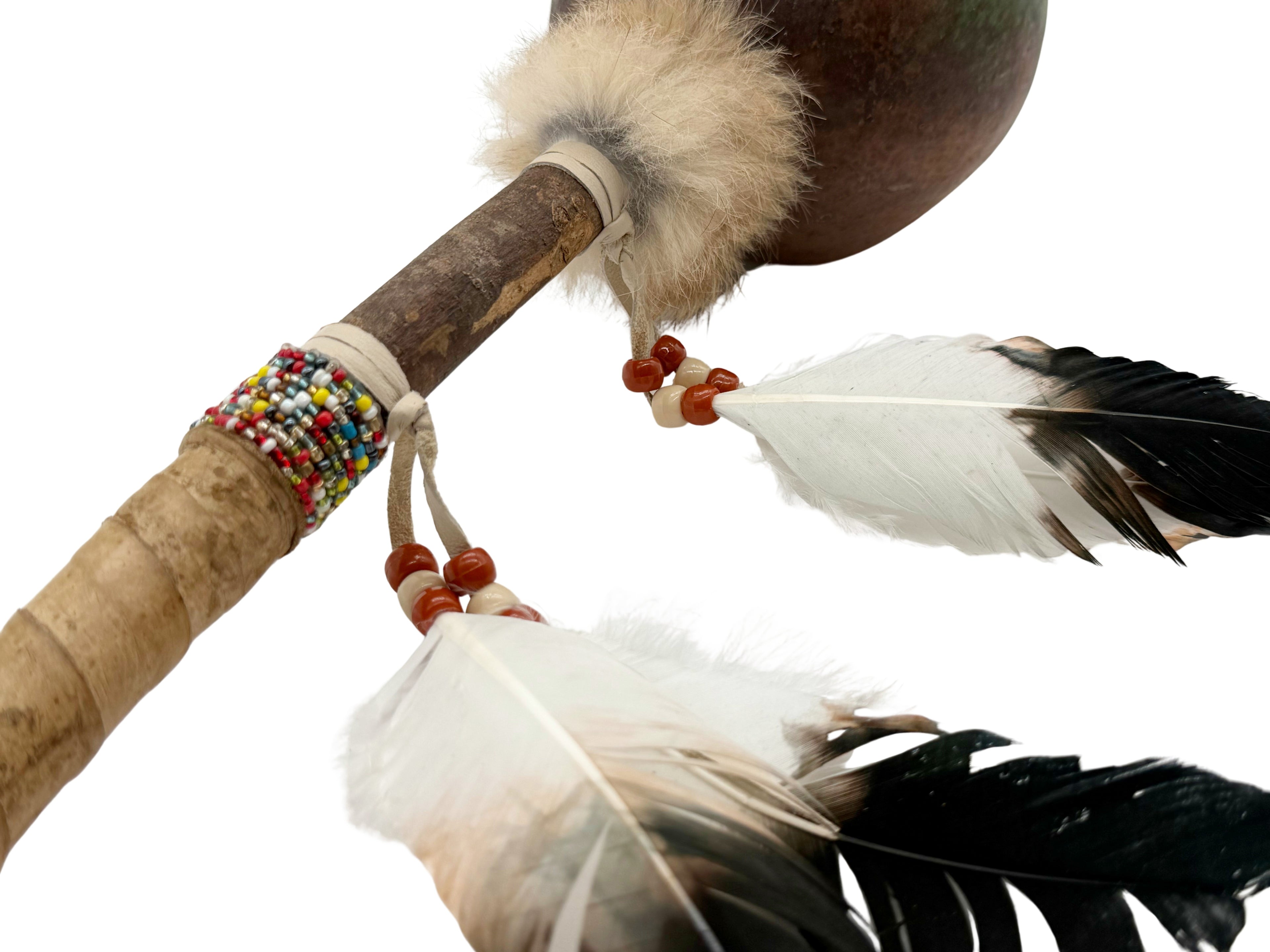 Mexican Hand Painted BUFFALO Shamanic Gourde Rattle