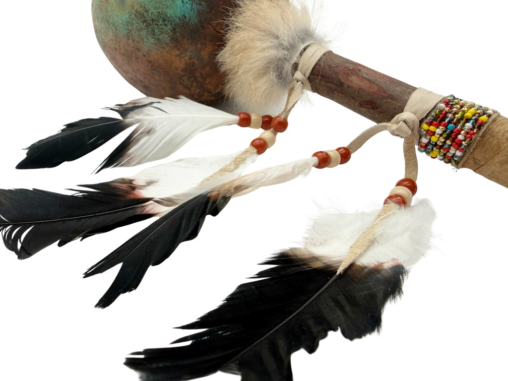 Mexican Hand Painted BUFFALO Shamanic Gourde Rattle