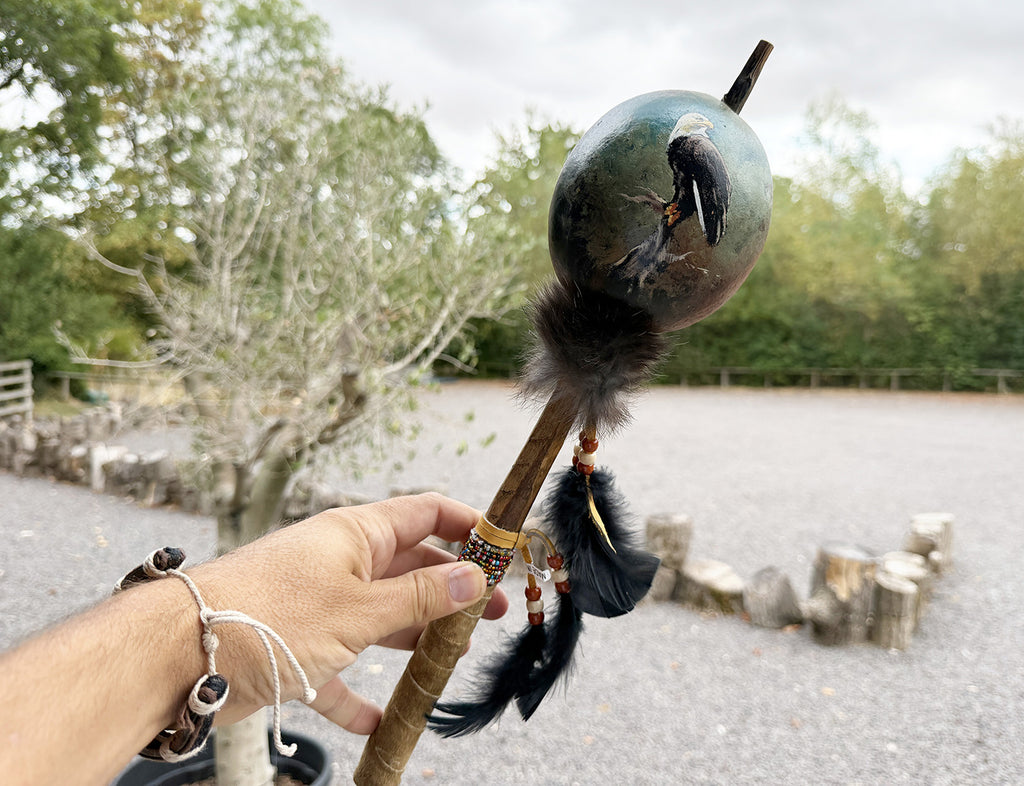 Mexican Hand Painted PERCHED EAGLE Shamanic Gourde Rattle