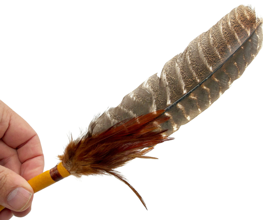 Large Feathers (Turkey Vulture)