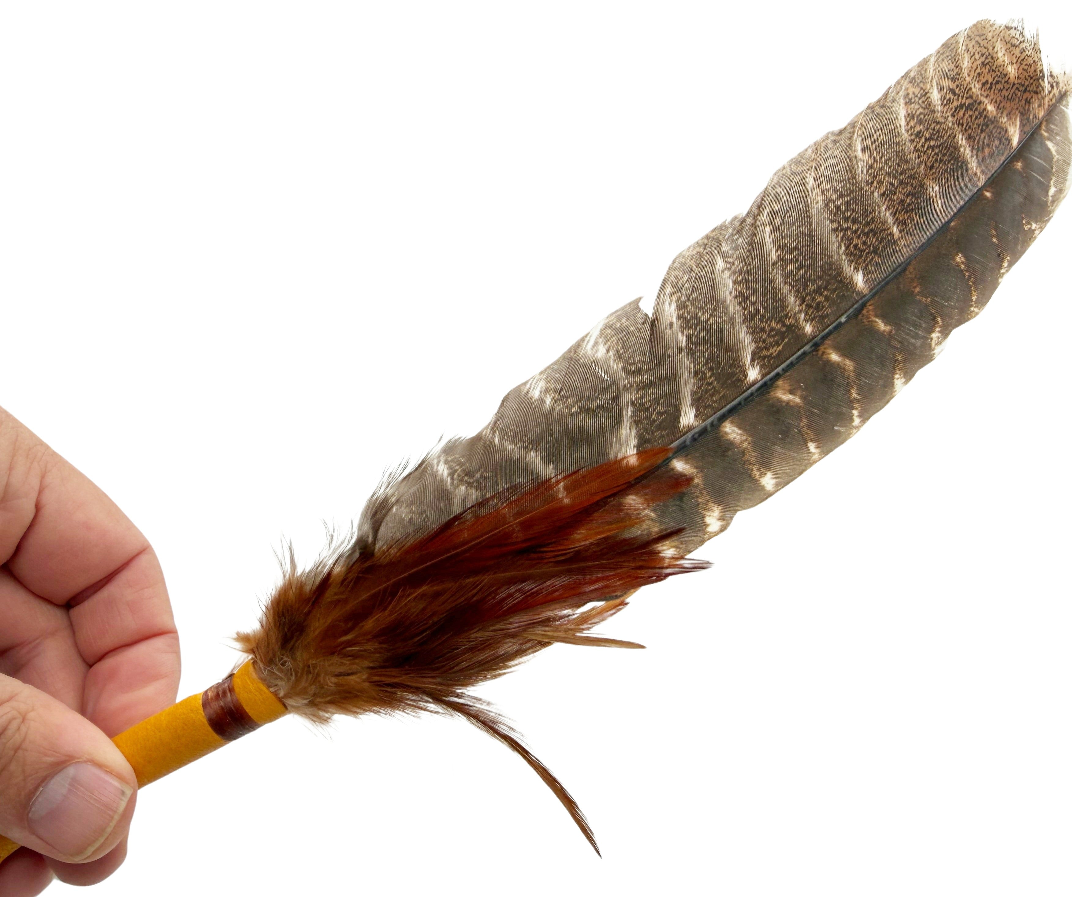 Large Feathers (Turkey Vulture)