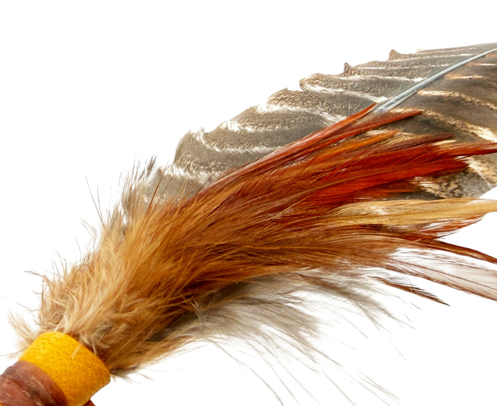 Large Feathers (Turkey Vulture)