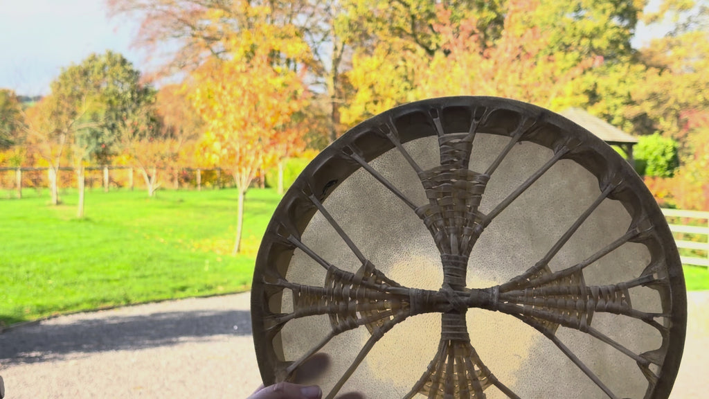 14" Buffalo Shamanic Drum Four Palm Lace