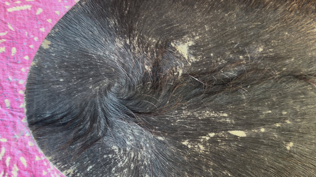 28" Oval Buffalo Shamanic Drum Ankh