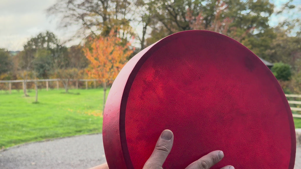16" Buffalo Shamanic Drum Falcon Lace