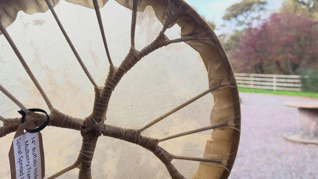 14" Buffalo Shamanic Drum Spiral Spread