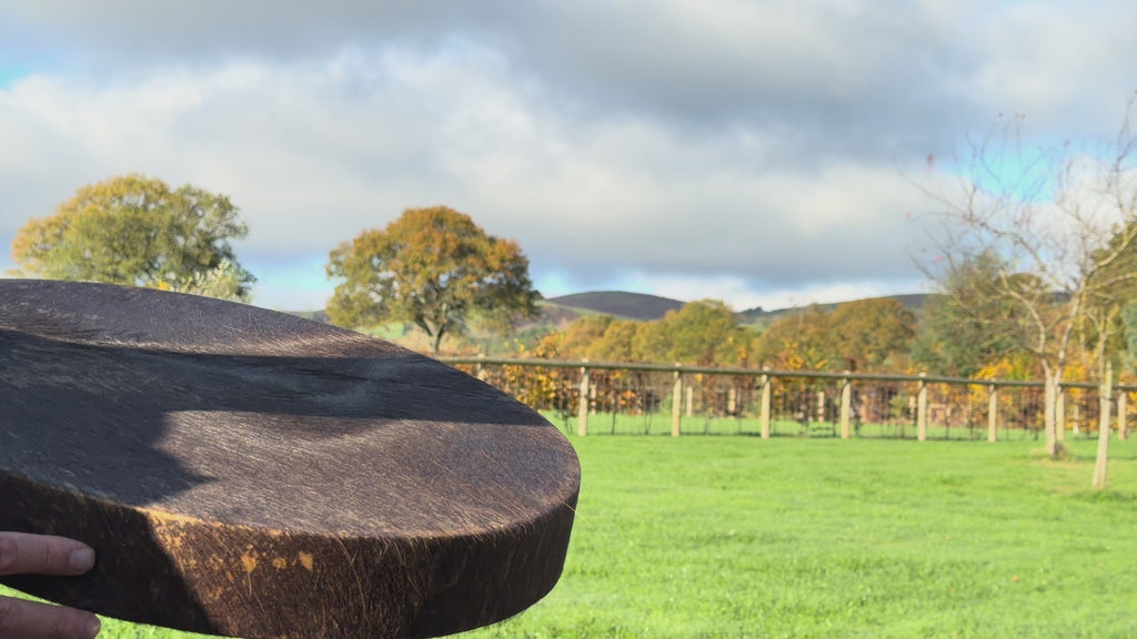 20" Buffalo Shamanic Drum Falcon