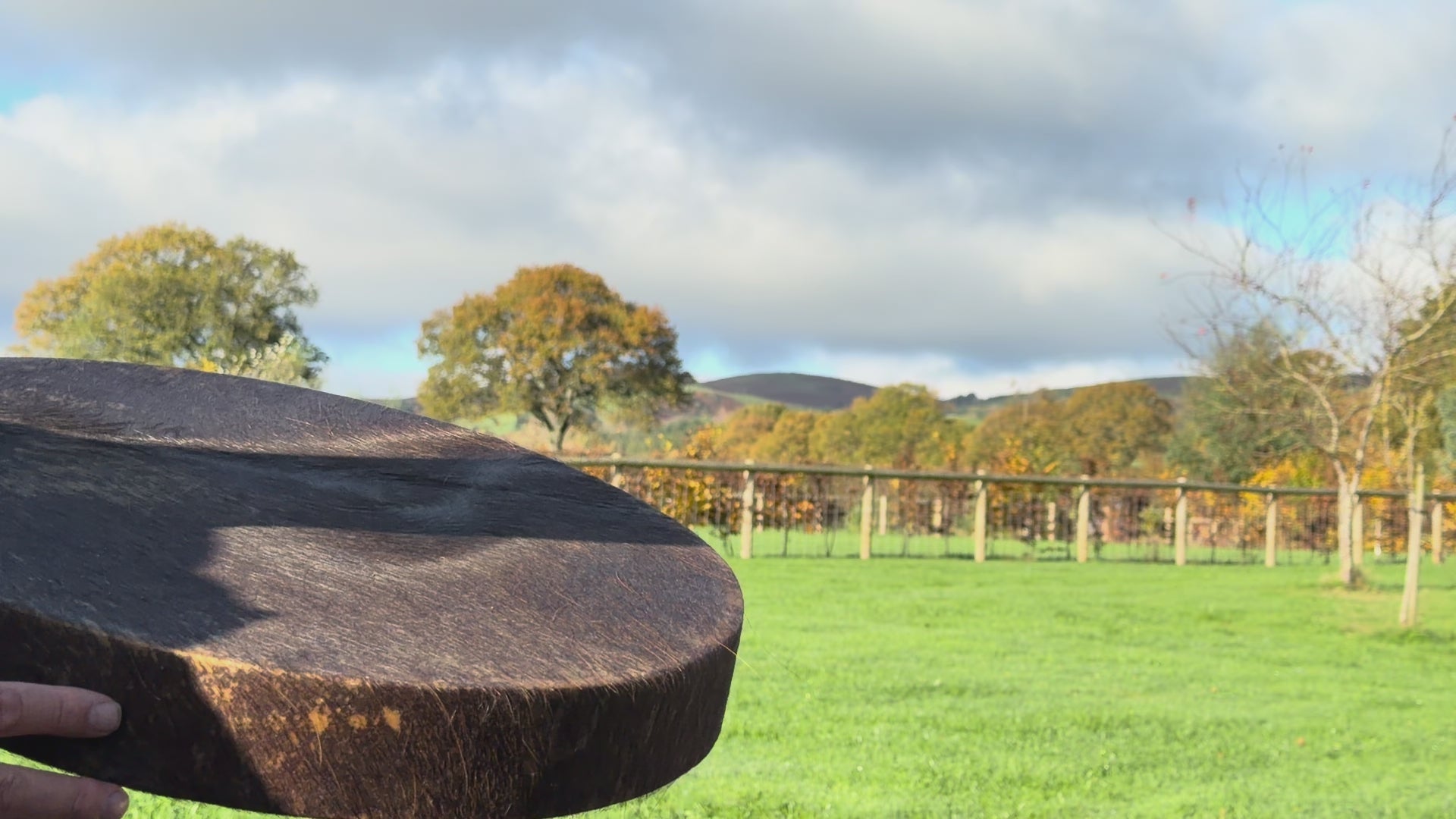 20" Buffalo Shamanic Drum Falcon