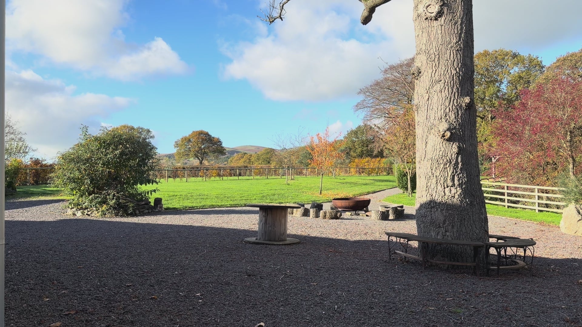 24" Oval Cow Shamanic Drum Ankh Lace