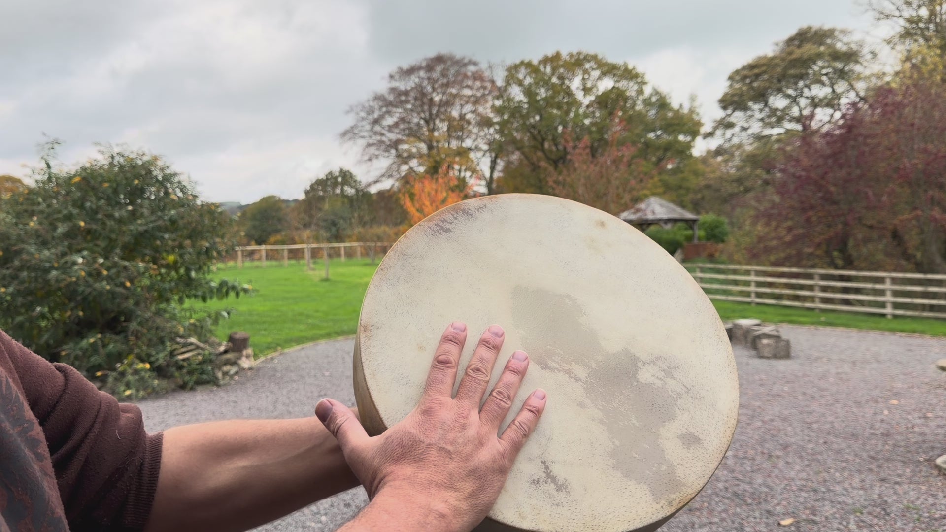 14" Buffalo Shamanic Drum Falcon Lace
