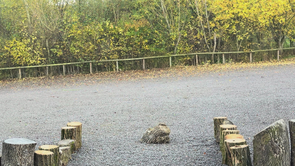 14" Buffalo Shamanic Drum Tri Star