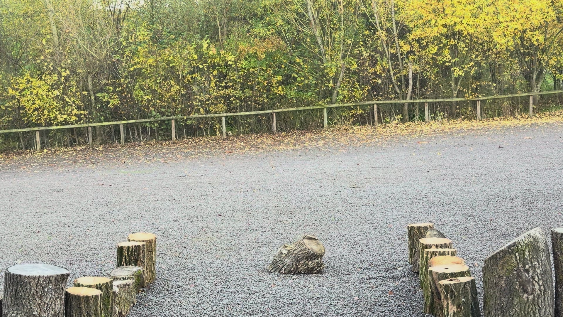 14" Buffalo Shamanic Drum Tri Star