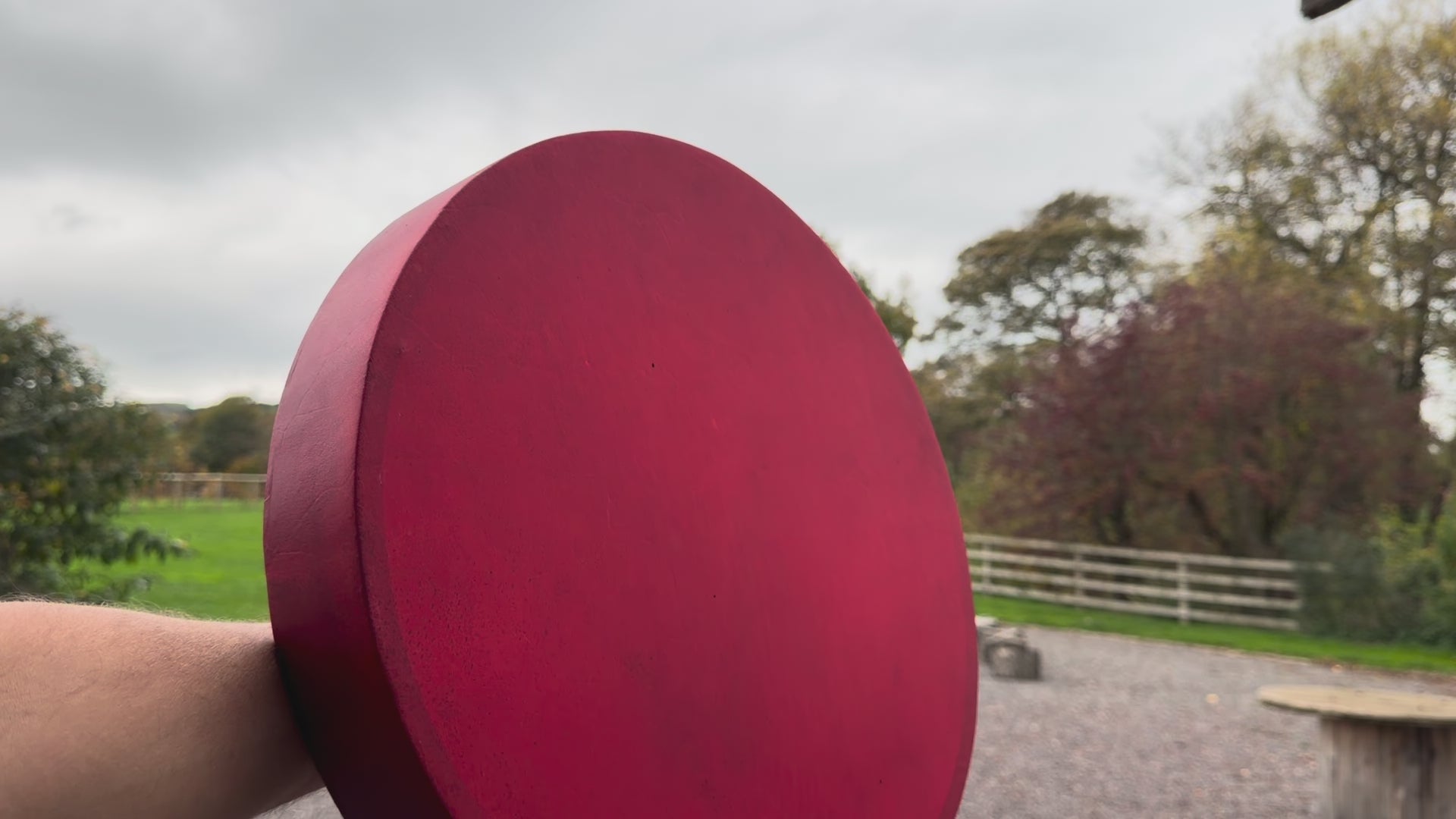 14" Buffalo Shamanic Drum Extended Cross Lace