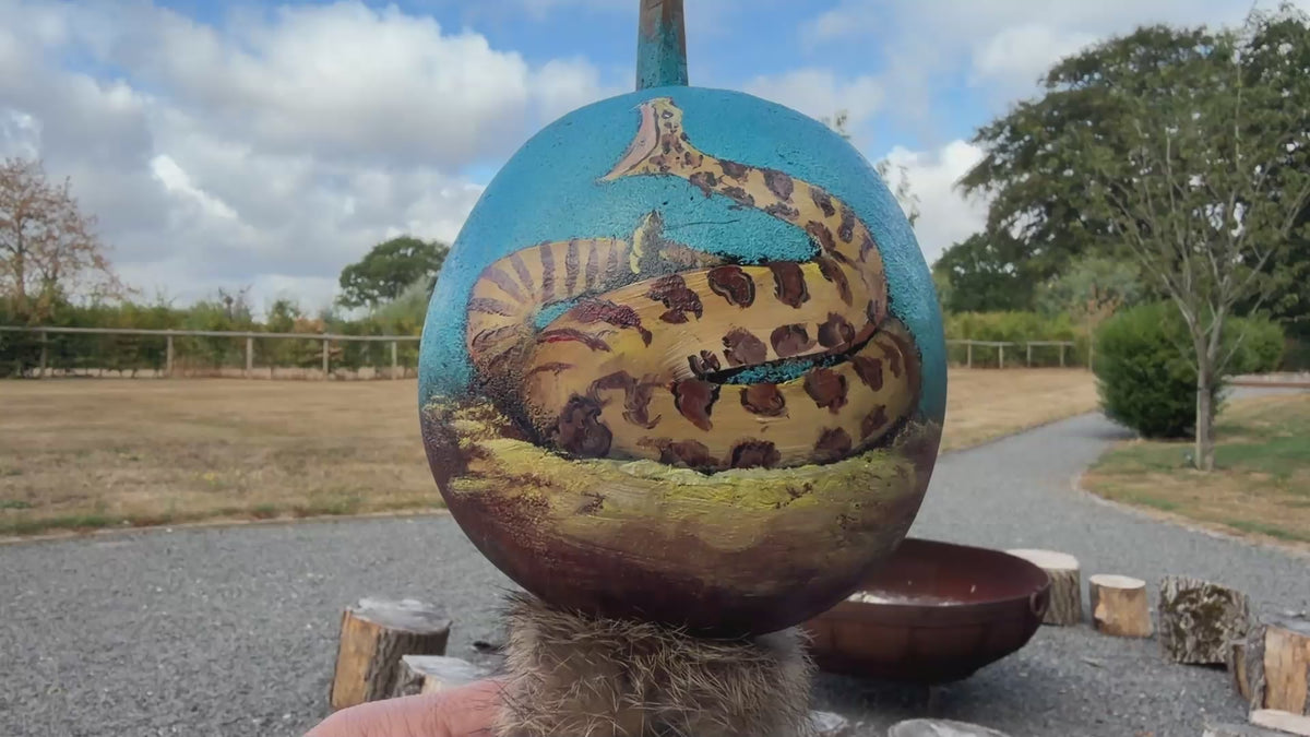 Mexican Hand Painted SNAKE Shamanic Gourde Rattle